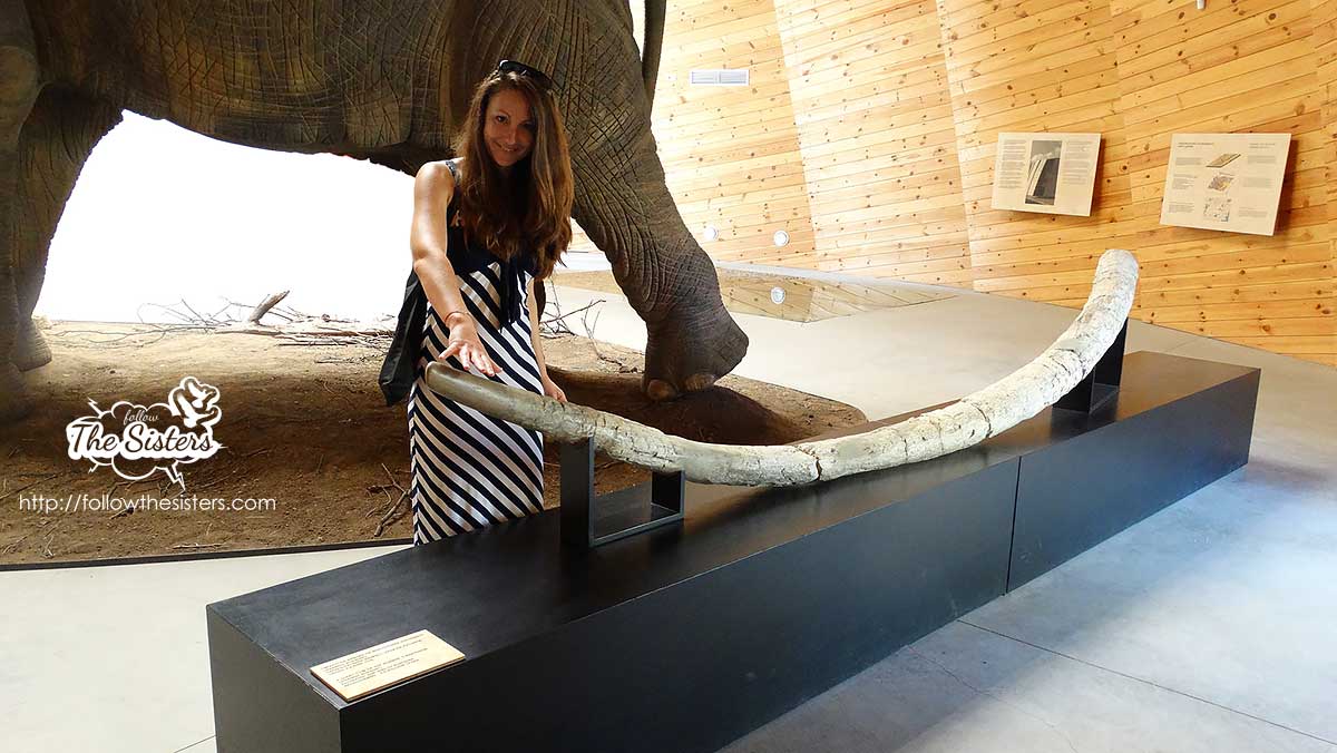 Next to the actual remains of tusks from mammoths in Dorkovo